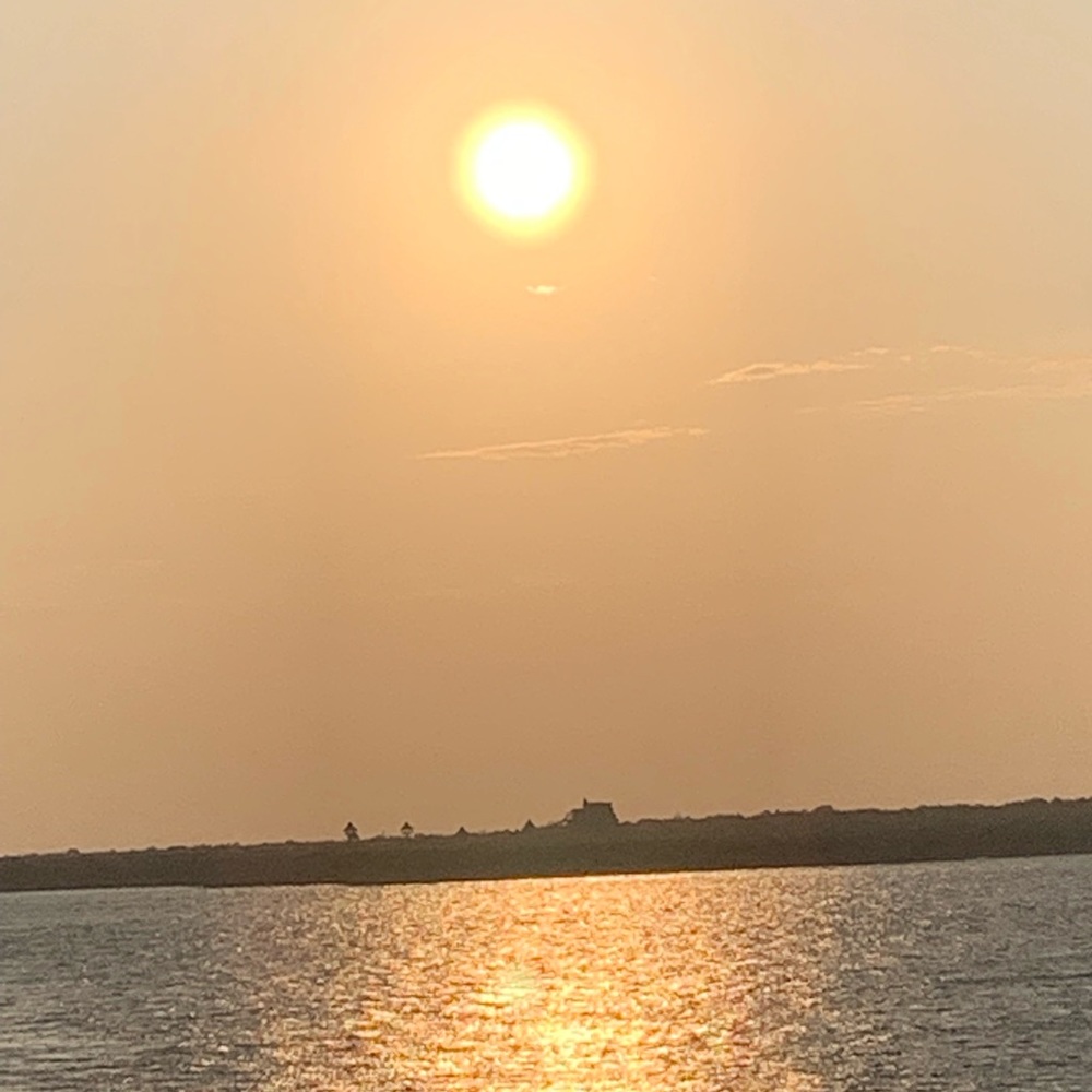 Laredo Leather Boots